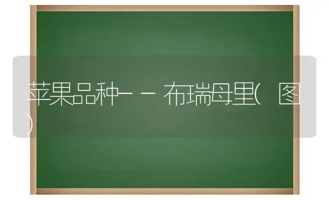 鸡腿菇袋栽技术 | 植物科普