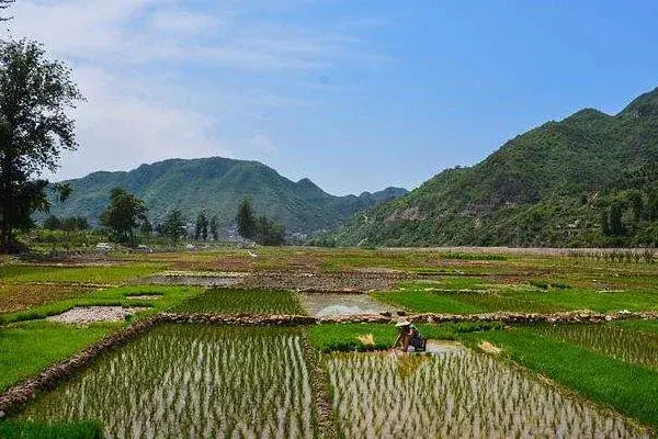 农村干什么行业能挣钱，项目多需选合适自己的