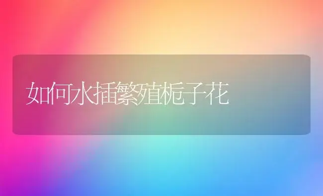 如何水插繁殖栀子花 | 植物知识