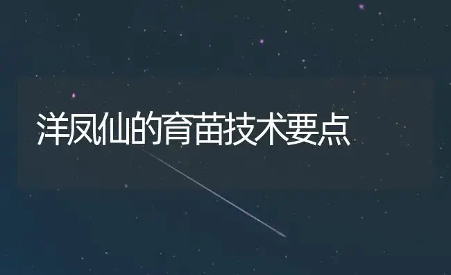 洋凤仙的育苗技术要点 | 植物知识
