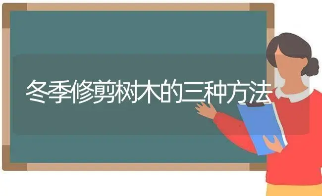 冬季修剪树木的三种方法 | 植物科普