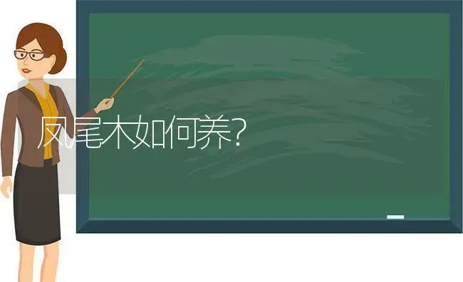 凤尾木如何养？ | 植物问答