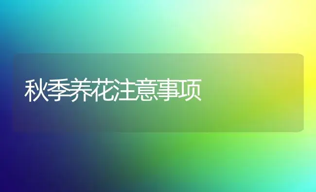 秋季养花注意事项 | 植物科普