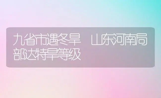九省市遇冬旱 山东河南局部达特旱等级 | 植物科普