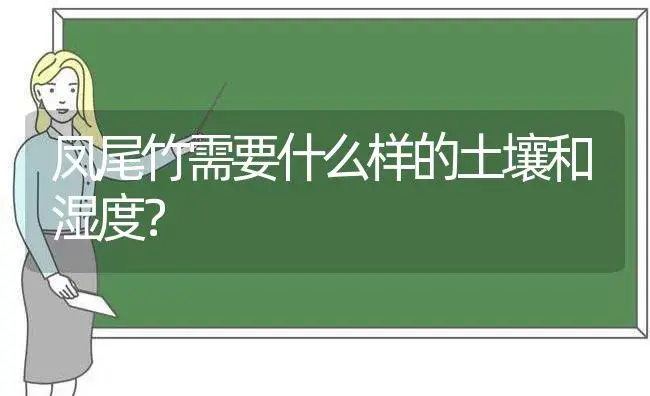 凤尾竹需要什么样的土壤和湿度？ | 植物问答