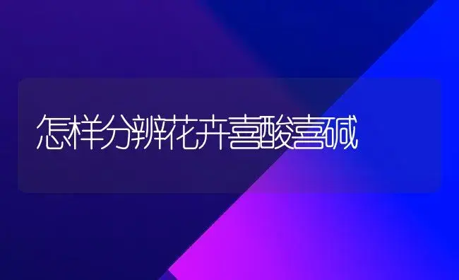 怎样分辨花卉喜酸喜碱 | 植物科普