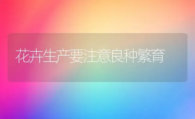 花卉生产要注意良种繁育 | 植物科普
