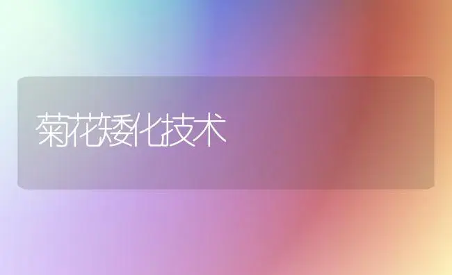菊花矮化技术 | 植物知识