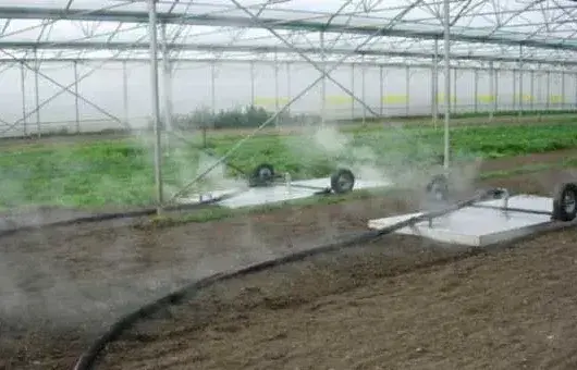 农业种植过程中的土壤消毒方法和事宜介绍
