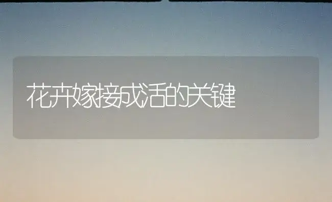 花卉嫁接成活的关键 | 植物知识