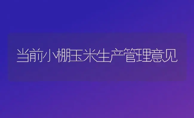 弯曲丝瓜变直有法 | 植物科普