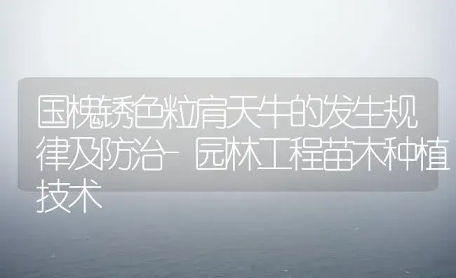 国槐锈色粒肩天牛的发生规律及防治-园林工程苗木种植技术 | 植物知识