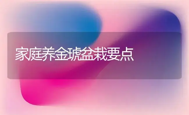家庭养金琥盆栽要点 | 植物知识