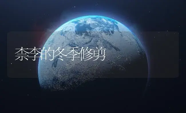 柰李的冬季修剪 | 植物百科