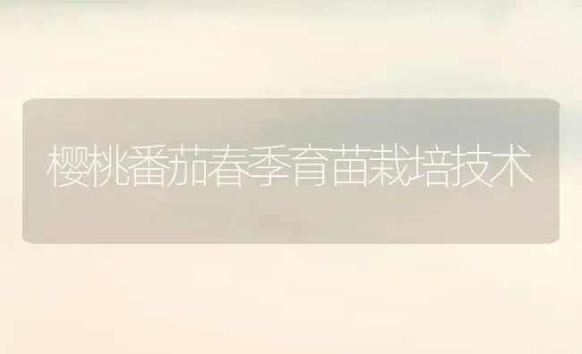 樱桃番茄春季育苗栽培技术 | 植物百科