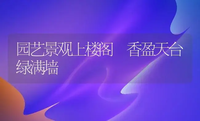 园艺景观上楼阁　香盈天台绿满墙 | 植物科普