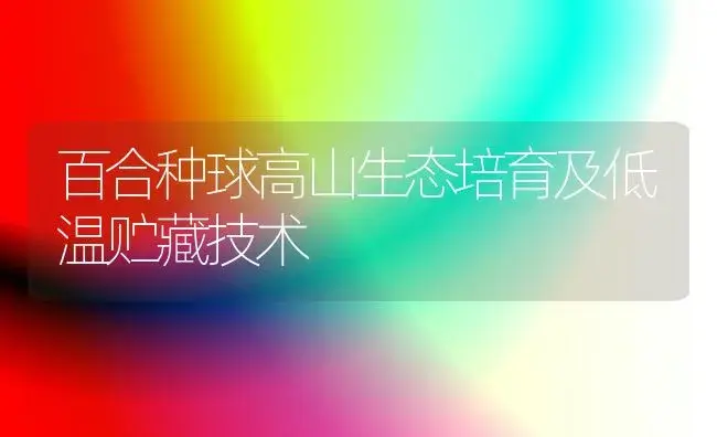 百合种球高山生态培育及低温贮藏技术 | 植物知识