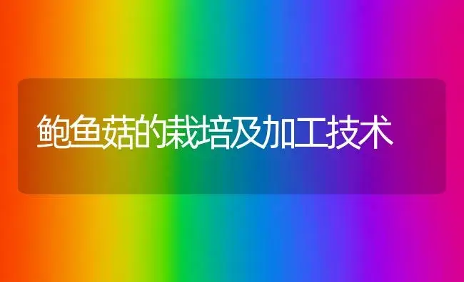 鲍鱼菇的栽培及加工技术 | 植物科普