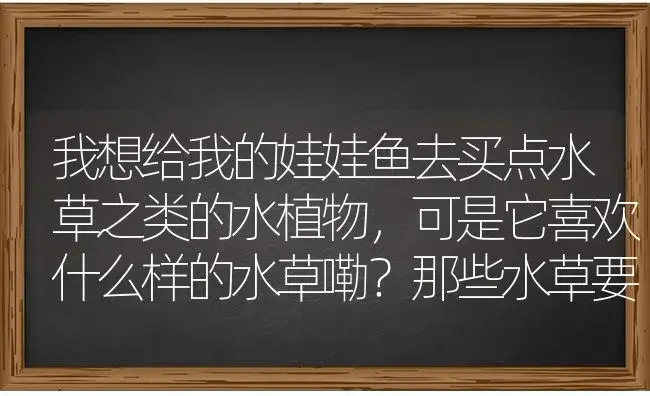 我想给我的娃娃鱼去买点水草之类的水植物，可是它喜欢什么样的水草嘞？那些水草要去哪里买呀？ | 植物问答