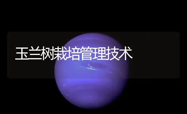 玉兰树栽培管理技术 | 植物知识