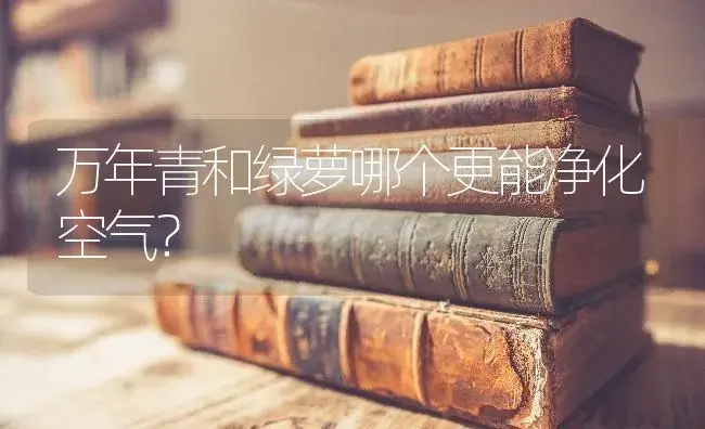 万年青和绿萝哪个更能净化空气？ | 植物问答