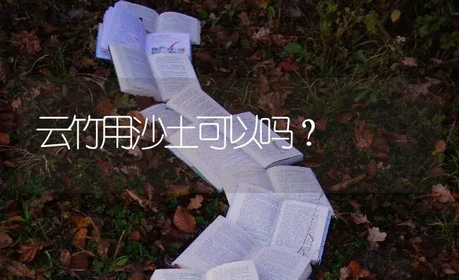 云竹用沙土可以吗？ | 植物问答