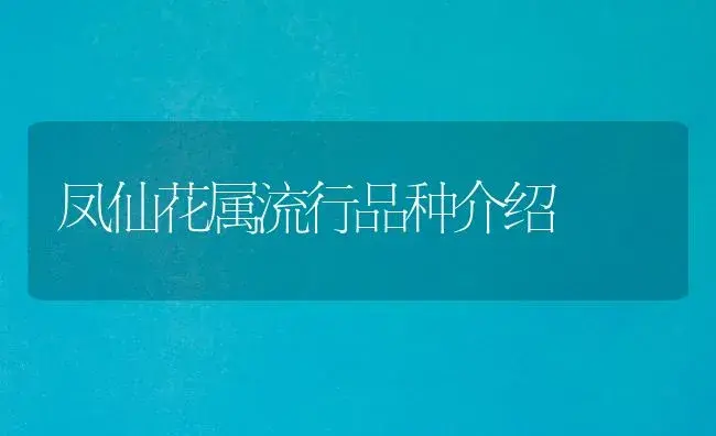 凤仙花属流行品种介绍 | 植物科普