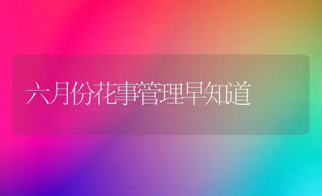 六月份花事管理早知道 | 植物科普