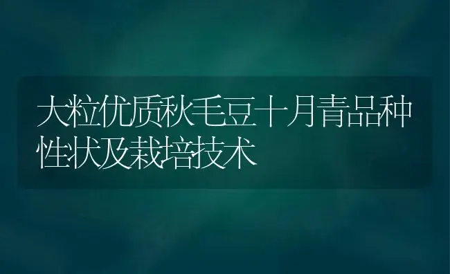 大粒优质秋毛豆十月青品种性状及栽培技术 | 植物科普