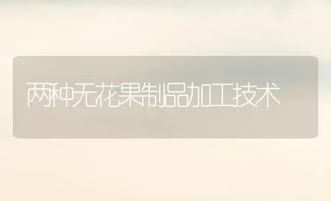 桑树绿枝扦插育苗好 | 植物科普