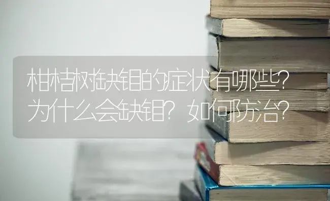 柑桔树缺钼的症状有哪些？为什么会缺钼？如何防治？ | 植物百科