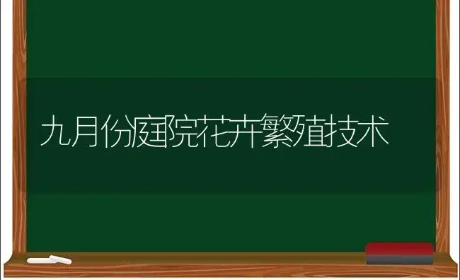 九月份庭院花卉繁殖技术 | 植物科普