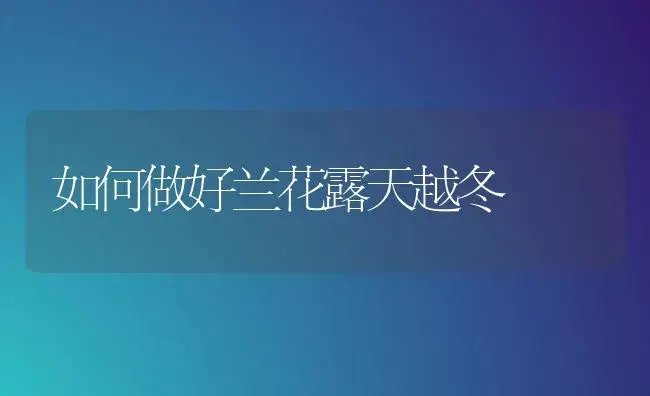 以螨治螨推广四年成效佳 | 植物科普