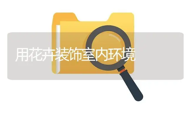 南美铁树养护与繁殖要点 | 植物知识