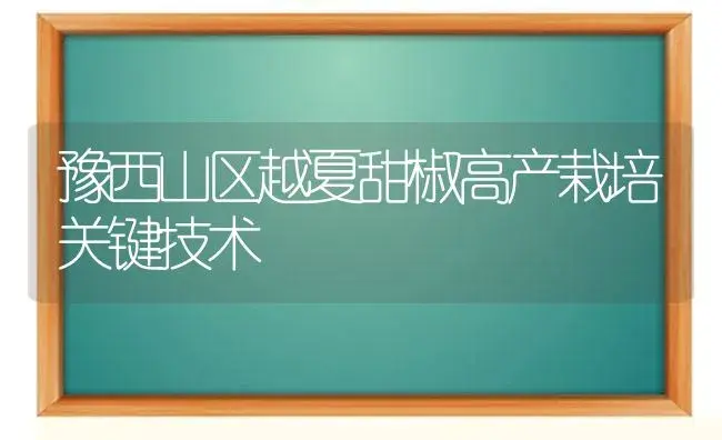 豫西山区越夏甜椒高产栽培关键技术 | 植物科普