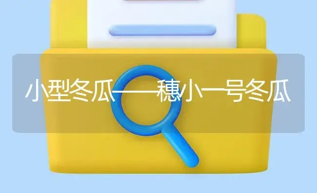 小型冬瓜――穗小一号冬瓜 | 植物百科