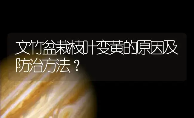 文竹盆栽枝叶变黄的原因及防治方法？ | 植物知识