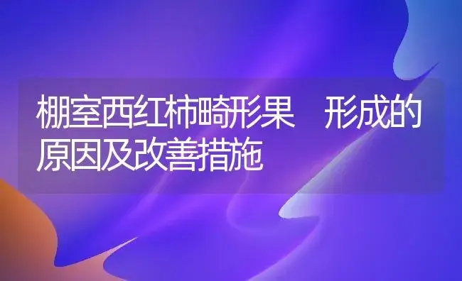 棚室西红柿畸形果 形成的原因及改善措施 | 植物科普