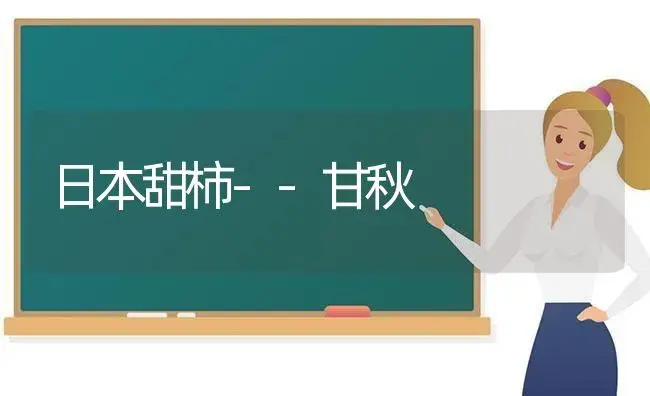 日本甜柿--甘秋 | 植物科普