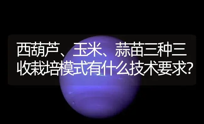 西葫芦、玉米、蒜苗三种三收栽培模式有什么技术要求？ | 植物百科