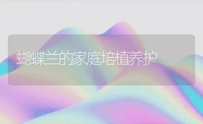 自然式树状月季培育技术要点 | 植物知识