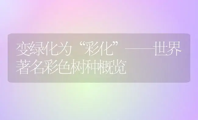 变绿化为“彩化”——世界著名彩色树种概览 | 植物科普