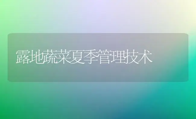 露地蔬菜夏季管理技术 | 植物科普