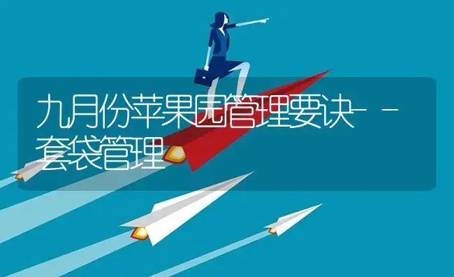 九月份苹果园管理要诀--套袋管理 | 植物资料