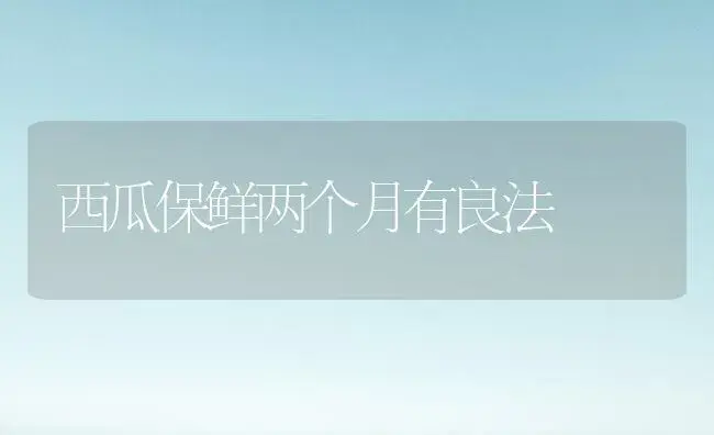 西瓜保鲜两个月有良法 | 植物百科