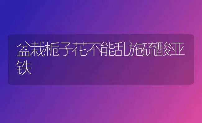 西红柿斜着长 产量增一成 | 植物科普
