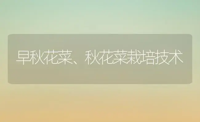 早秋花菜、秋花菜栽培技术 | 植物科普