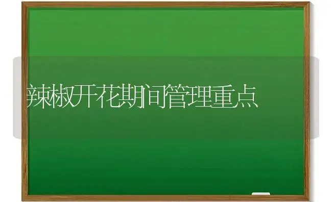 常春藤分哪两大类，各有哪些观赏品种 | 植物科普