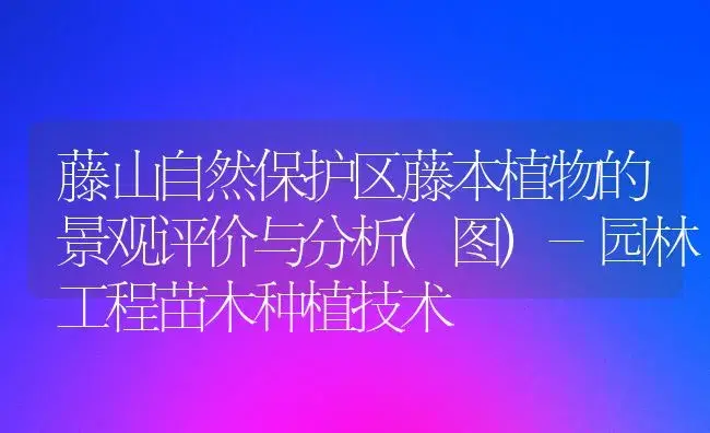 藤山自然保护区藤本植物的景观评价与分析(图)-园林工程苗木种植技术 | 植物百科