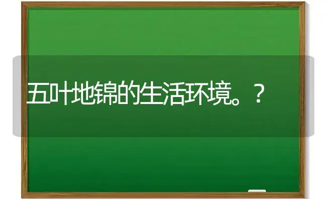 五叶地锦的生活环境。？ | 植物问答